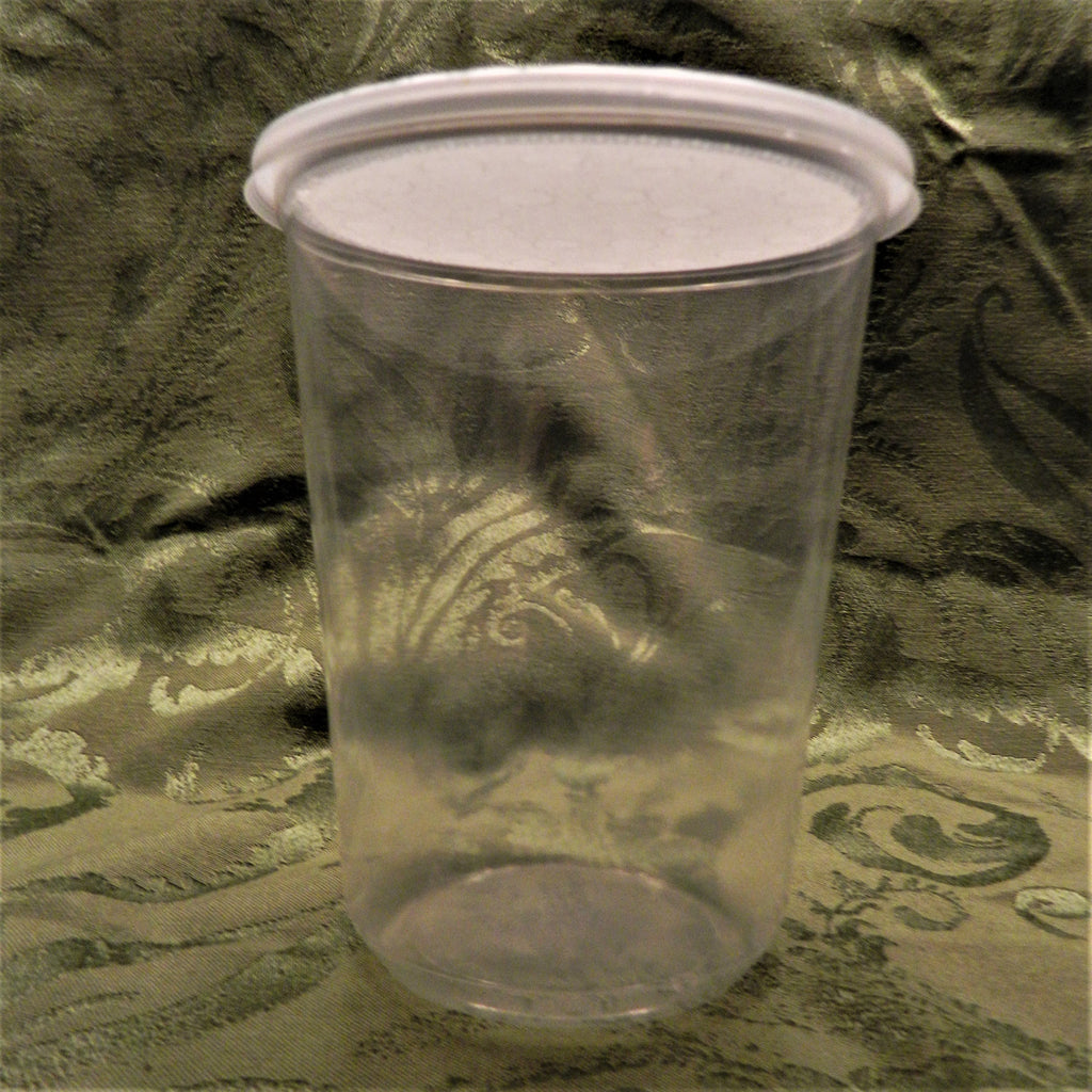 32 oz Deli Cup (4.25) with Lid - The Tye-Dyed Iguana - Reptiles and  Reptile Supplies in St. Louis.
